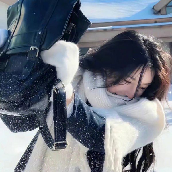 危险女婿