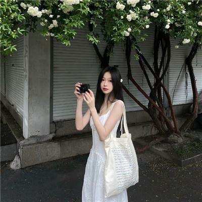 继承者风云